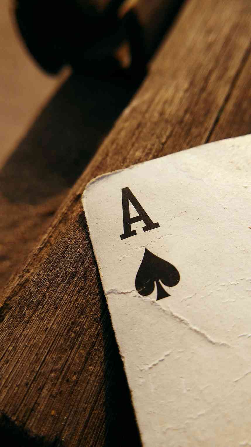 catcasino